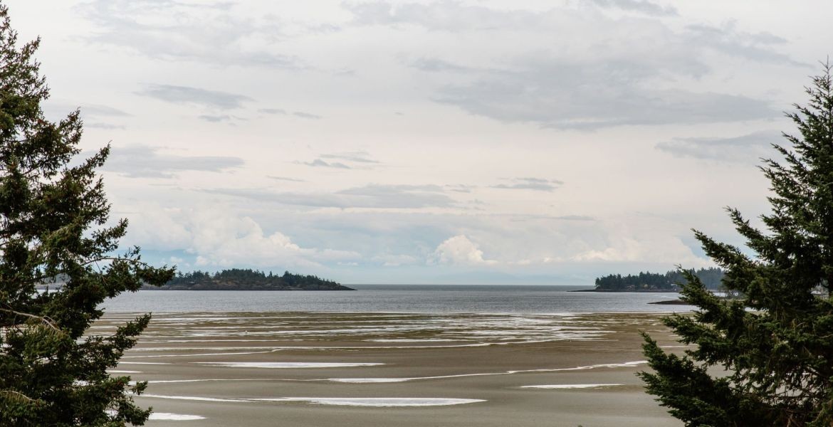 View of Rathtrevor Beach from Ridge