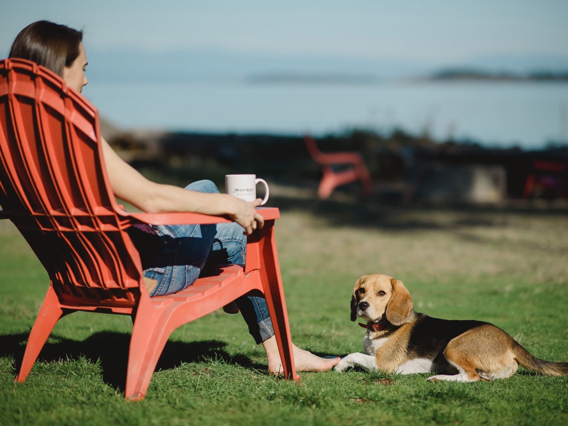 Pet Friendly Accommodations at Beach Acres Resort