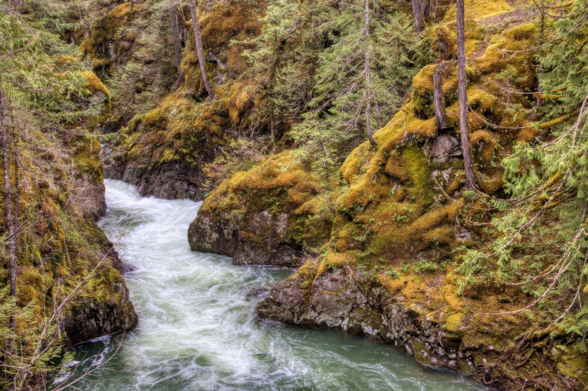 Little Qualicum Falls