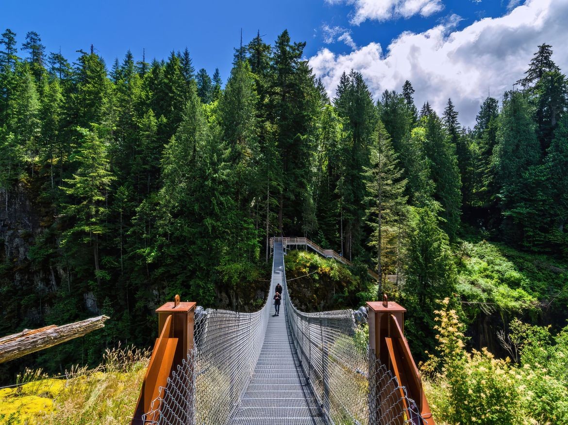 Elk Falls Suspension Bridge