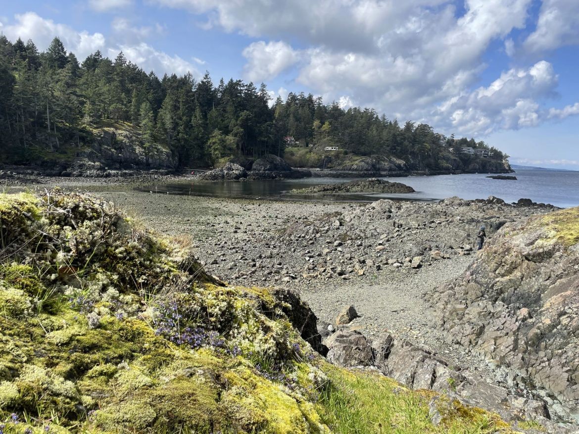 Neck Point
