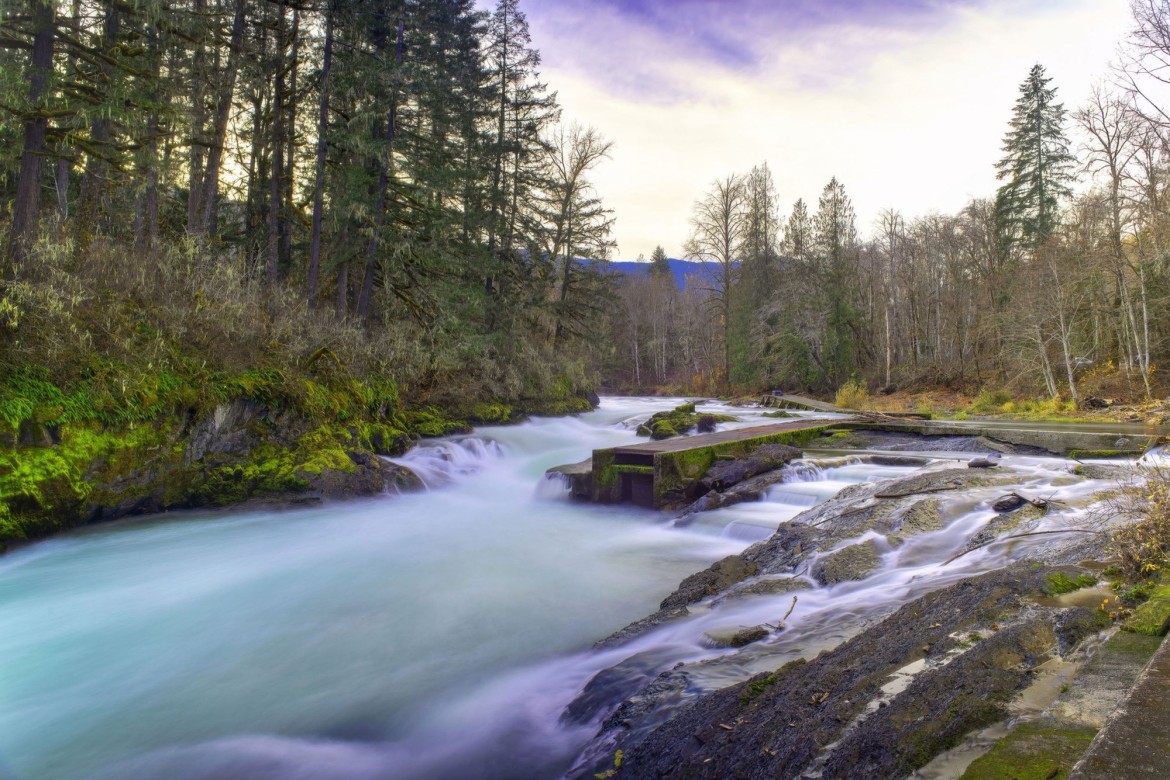 Big Qualicum hatchery