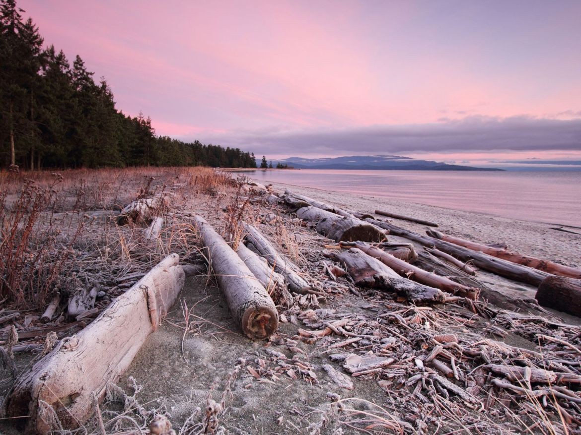 Parksville in Winter