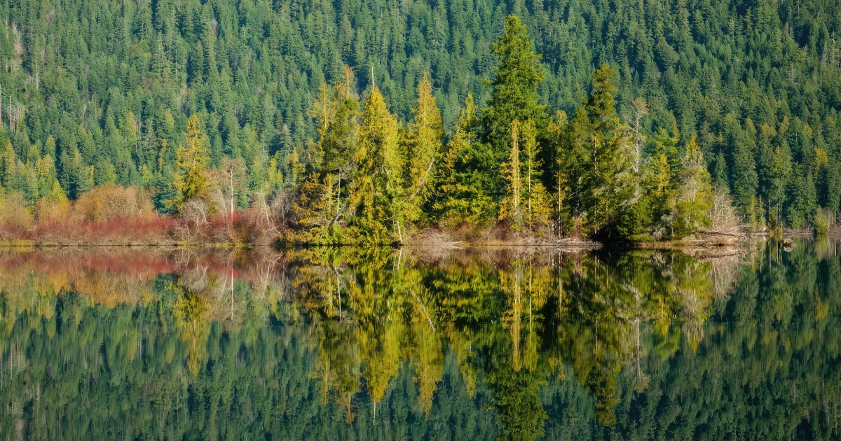 Beach Acres Resort A Day at Cameron Lake, BC