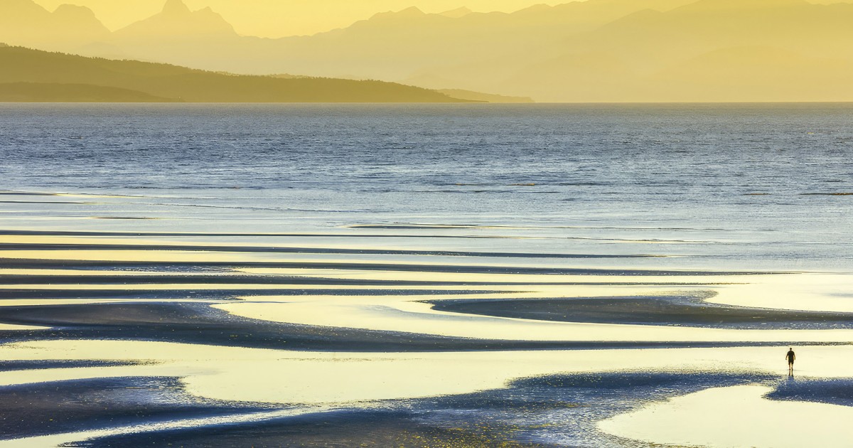 A Guide to Rathtrevor Beach Provincial Park in Parksville, BC