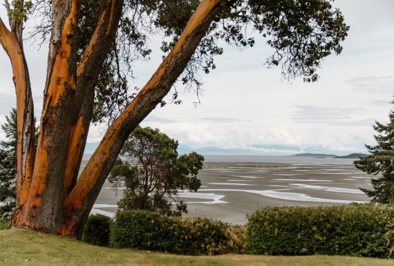 The ocean view from the bluffs