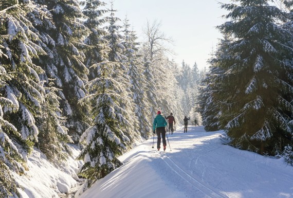 Cross-country skiing