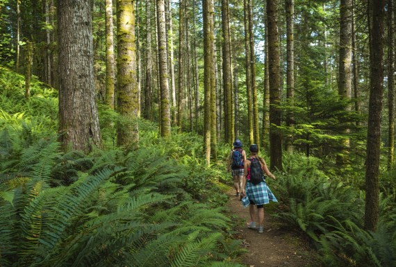 Hiking in Englishman River Provincial Park